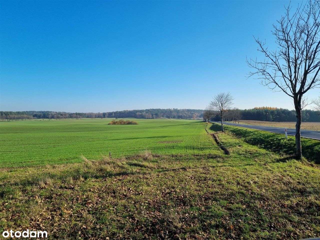 Działka siedliskowa - Krągi-6