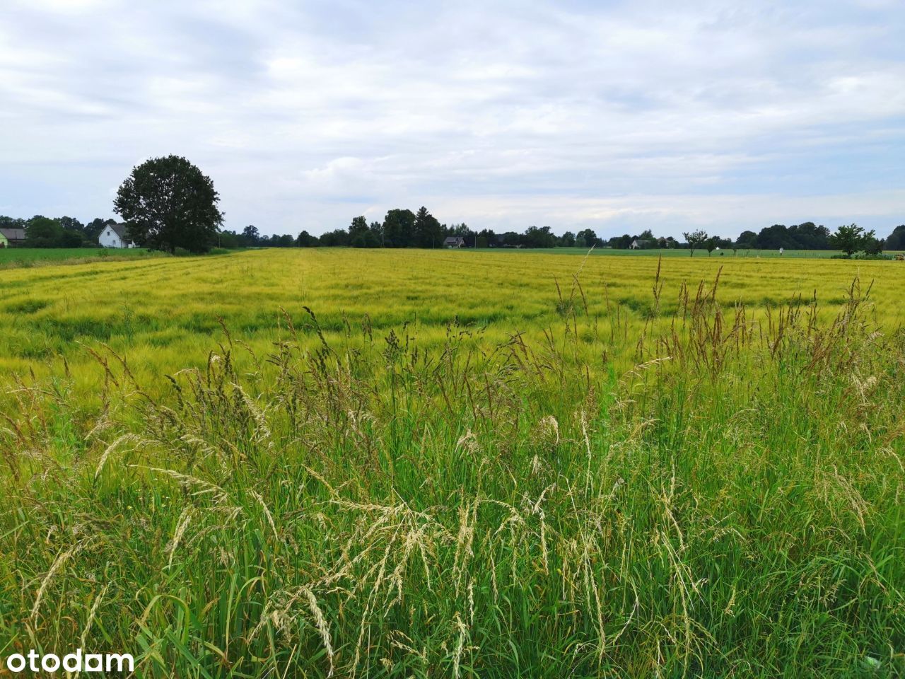 Działka, 1000m2, Ligota