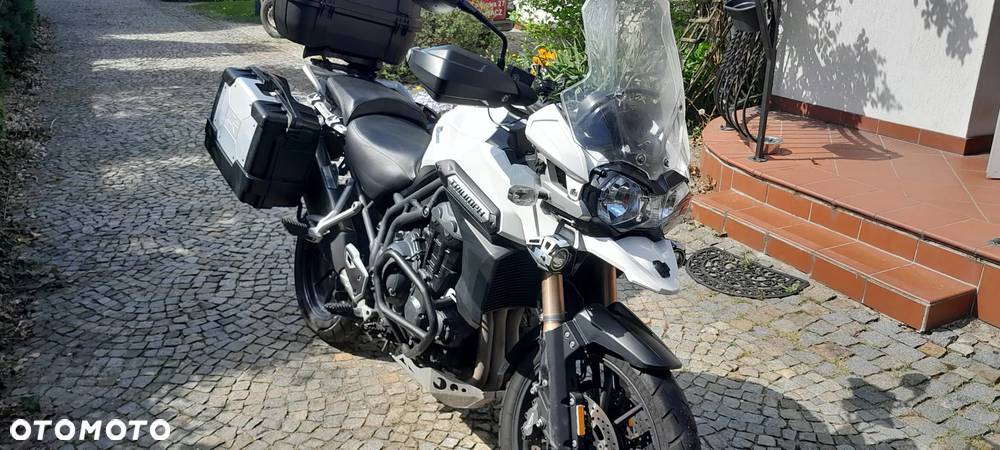 Triumph Tiger - 23