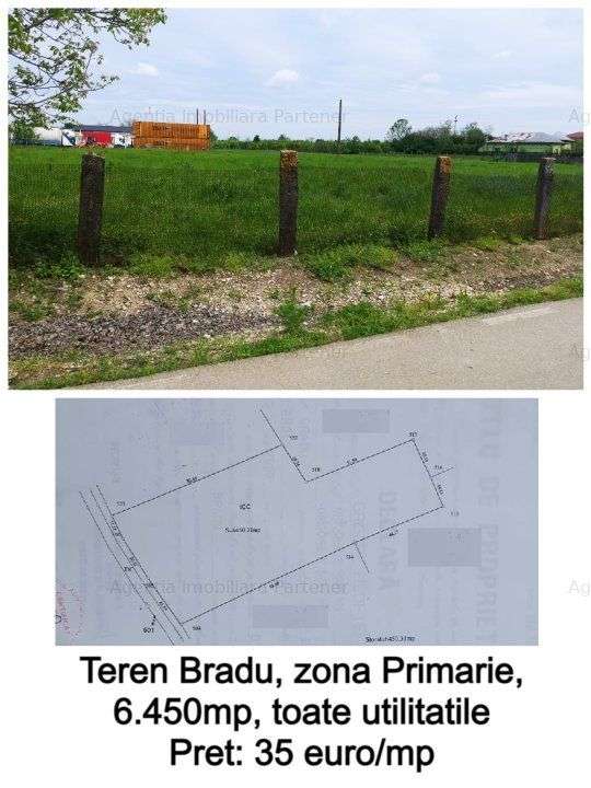 Terenuri Bradu, diverse suprafete - Imagine principală: 5/10