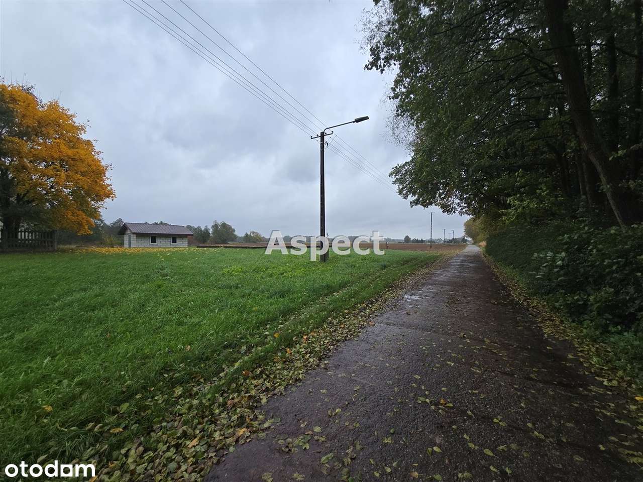 Działka+budynek goapodarczy, w pobliżu lasu - Pełny obrazek: 4/8