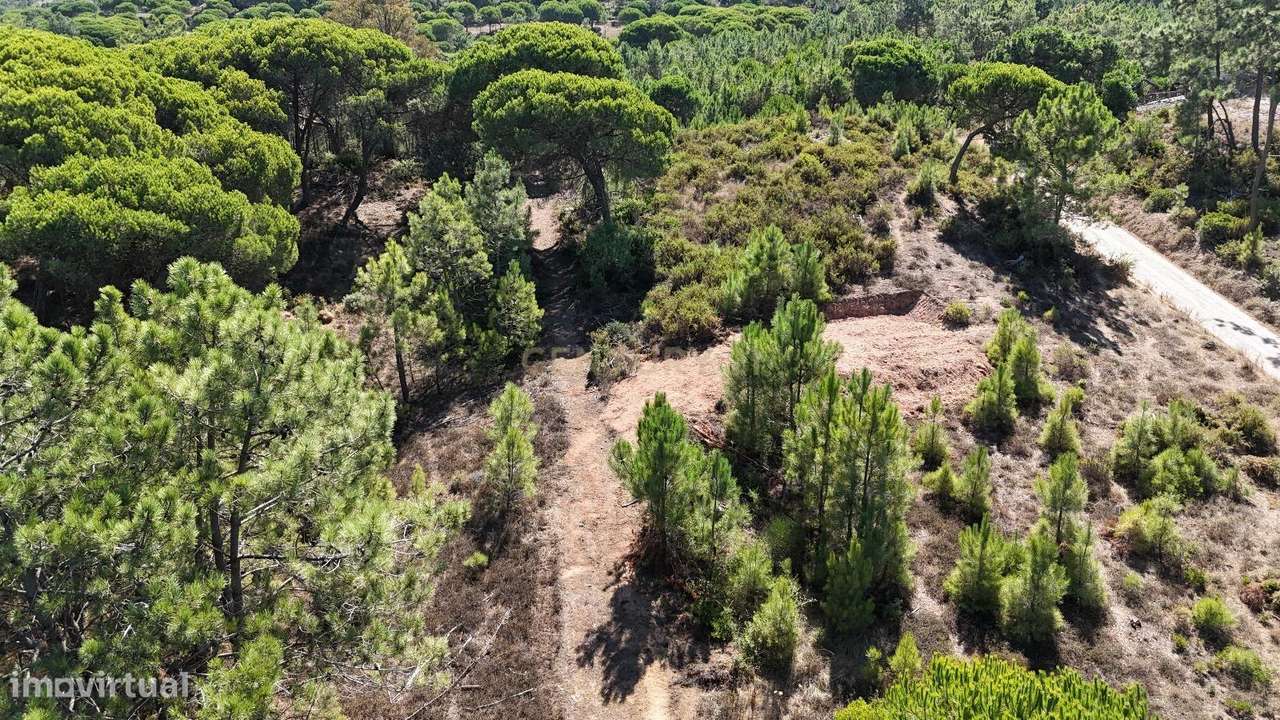 Terreno com área de 10.000m2 com projeto aprovado perto da Aldeia do M-6