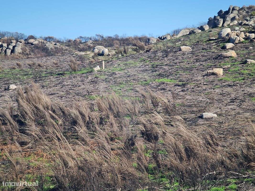 Terreno  para venda - Grande imagem: 5/16