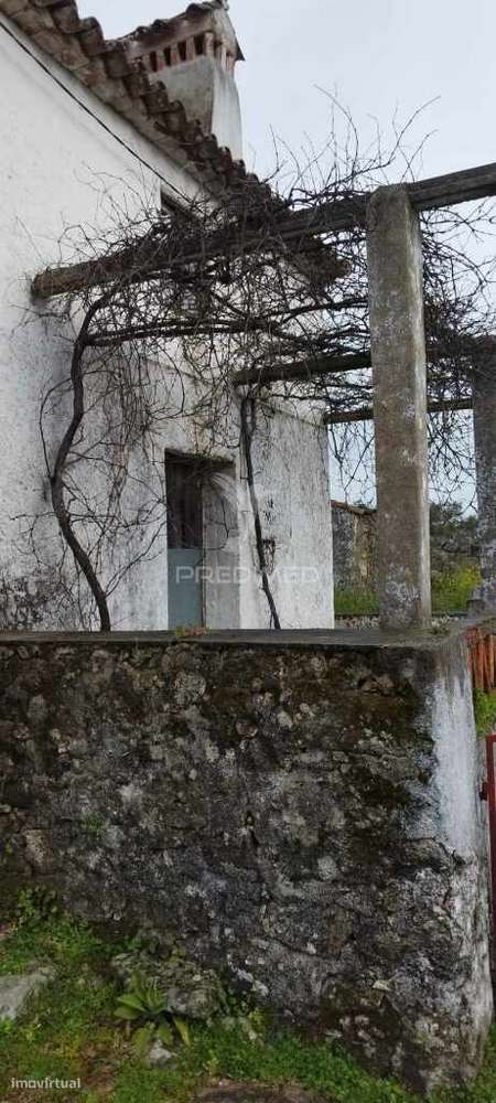 Quinta agrícola em Marvão - Grande imagem: 4/21