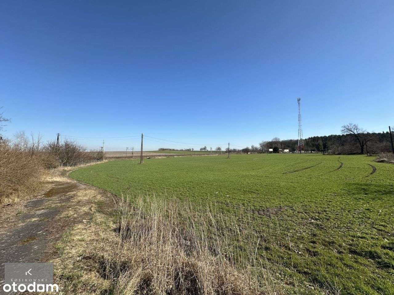 Dom z polem na sprzedaż, ponad 3 ha, Gręboszów - Pełny obrazek: 5/10