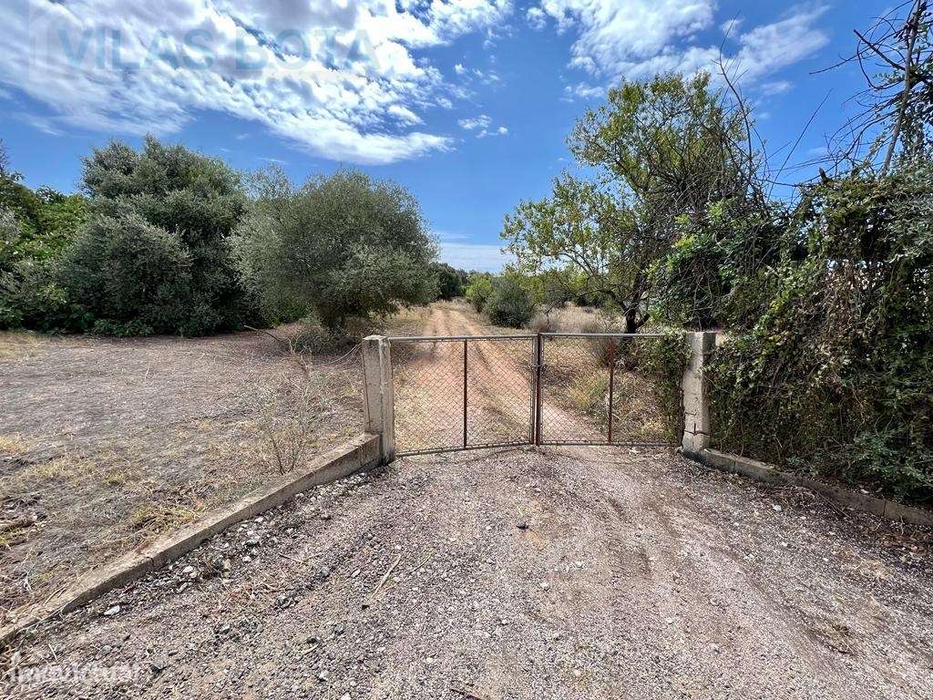 Lote de Terreno em Vale de Éguas - Grande imagem: 2/12