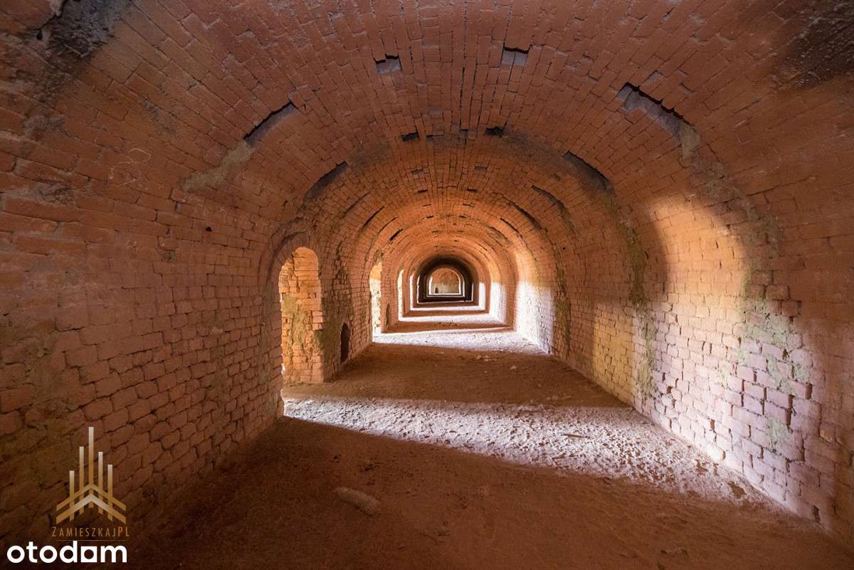 Teren inwestycyjny uzbrojony+budynki - pow. płocki-6