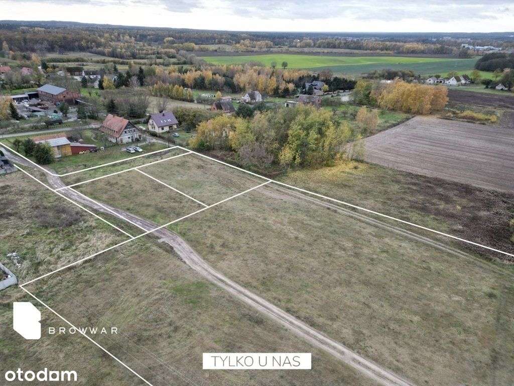 Działki budowlano-rolne Milicz / Dolina Baryczy - Pełny obrazek: 5/9