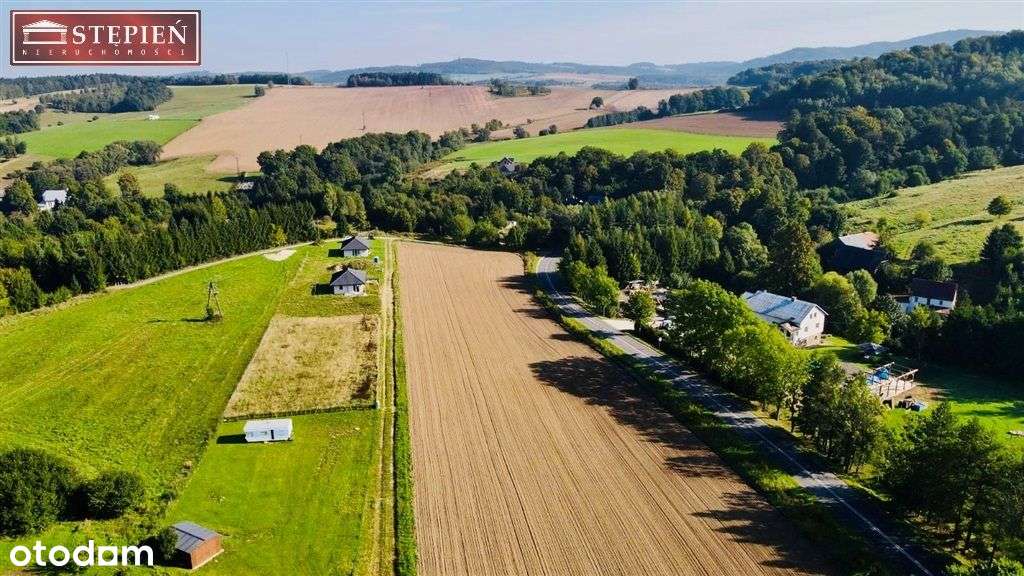 Działka, 1 100 m², Strzyżowiec - Pełny obrazek: 4/6