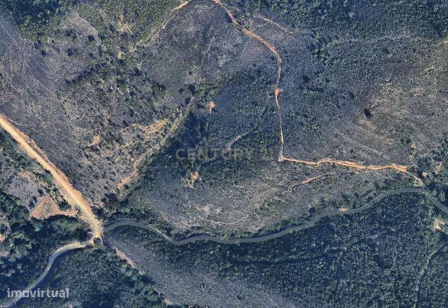 Terreno de Medronheiros para Venda na Serra de Monchique – O seu futur-1