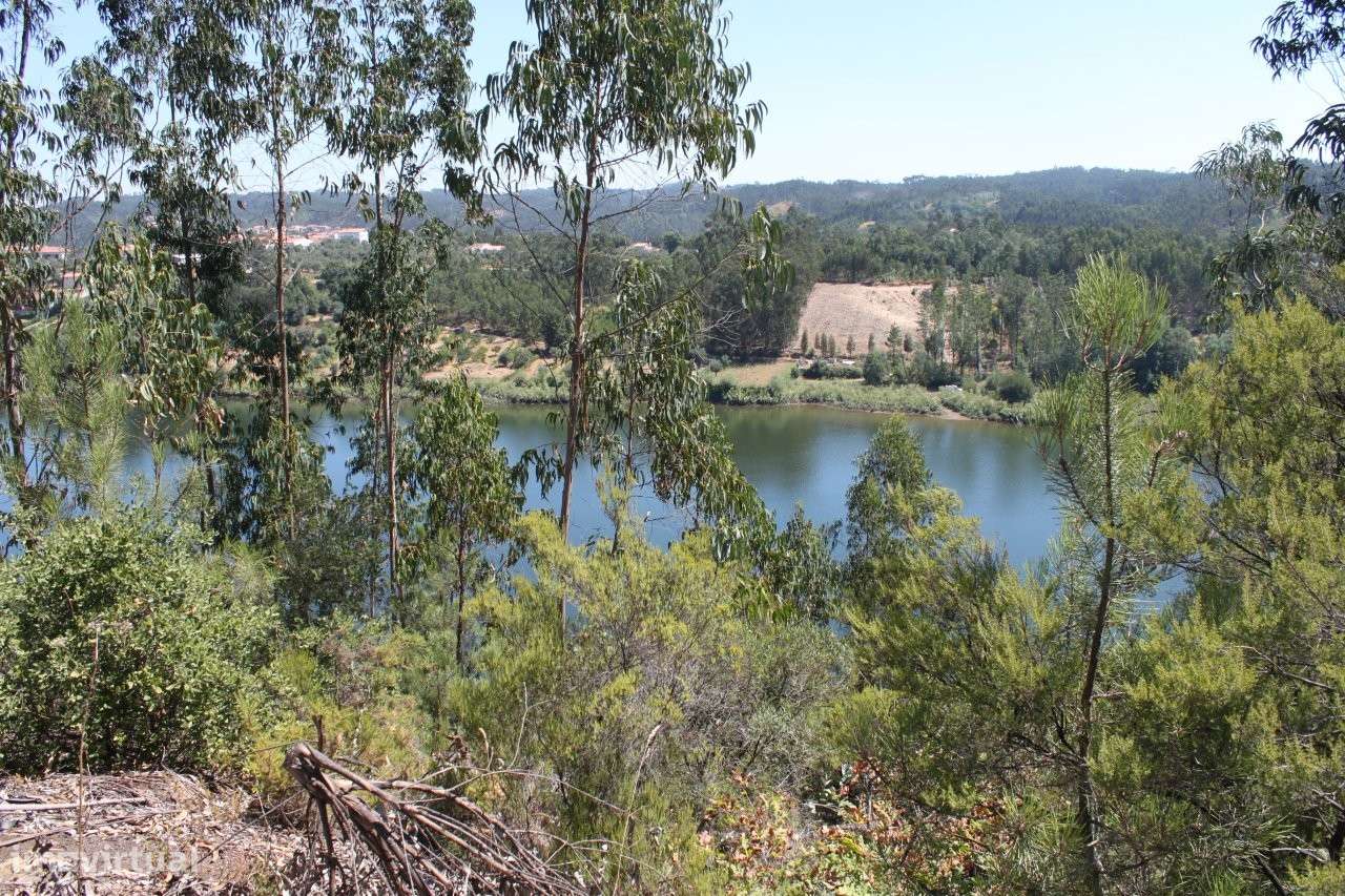 Herdade à venda em Penacova-13