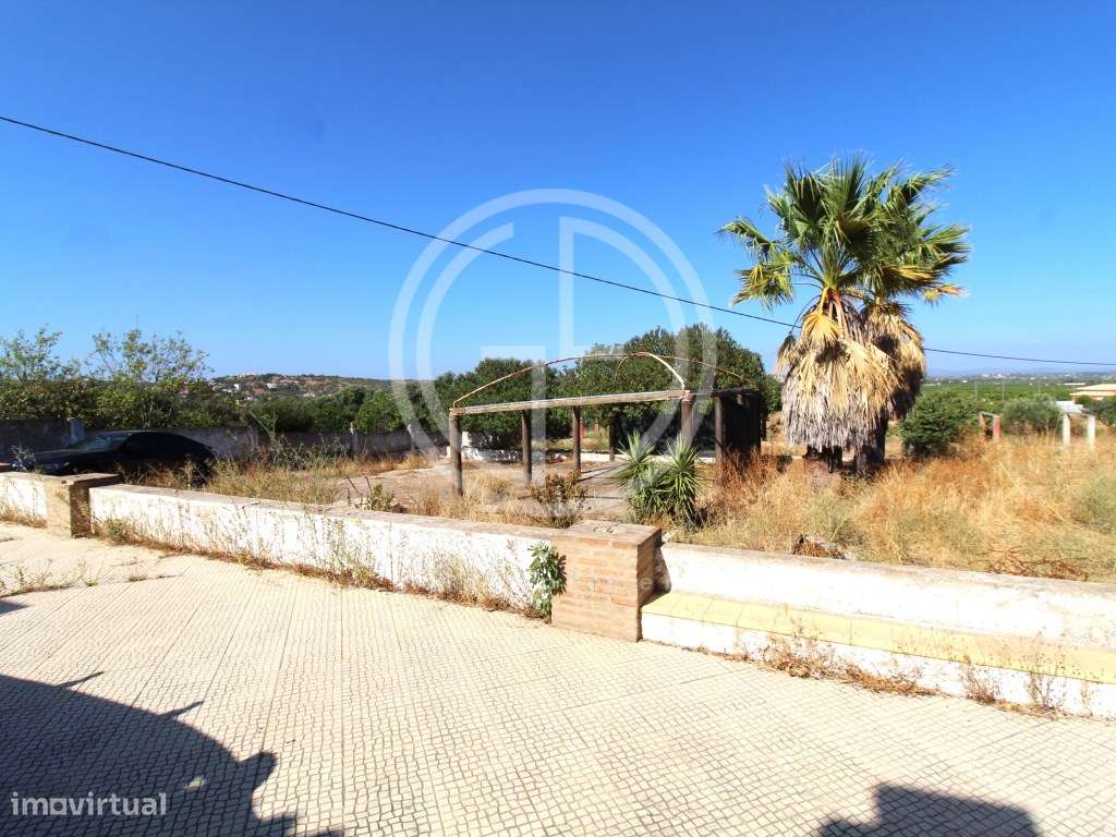 Moradia típica Algarvia introduzida em terreno com 1,5 hectares- Fo... - Grande imagem: 4/30