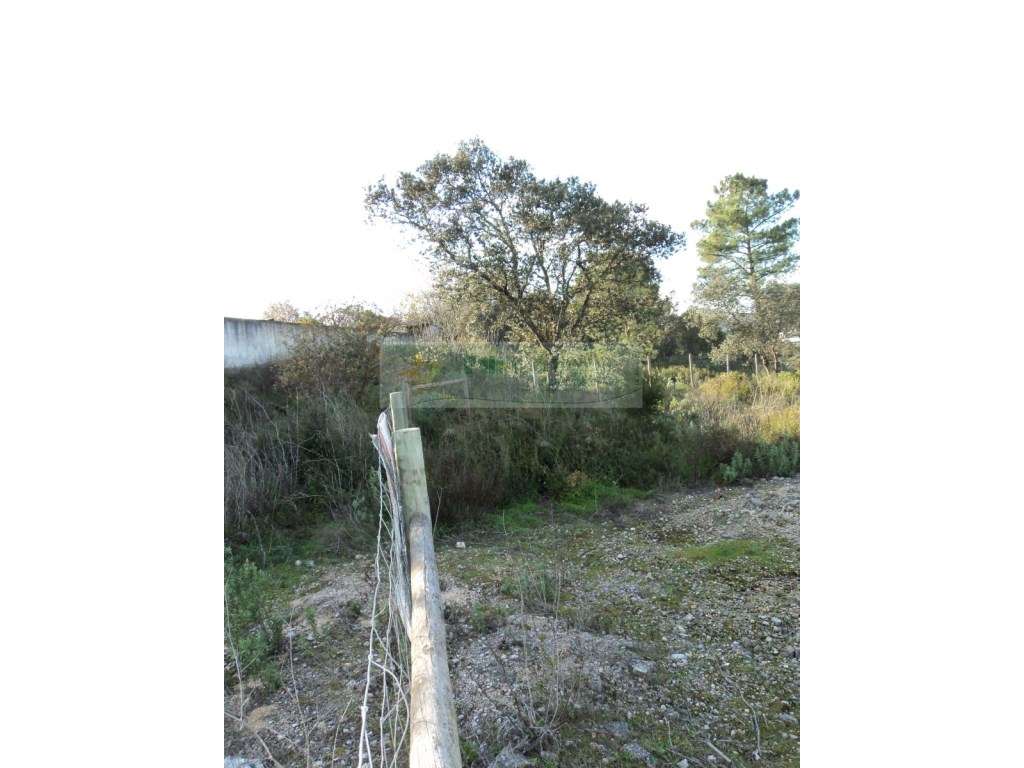 Terreno - Tomar - Grande imagem: 2/2