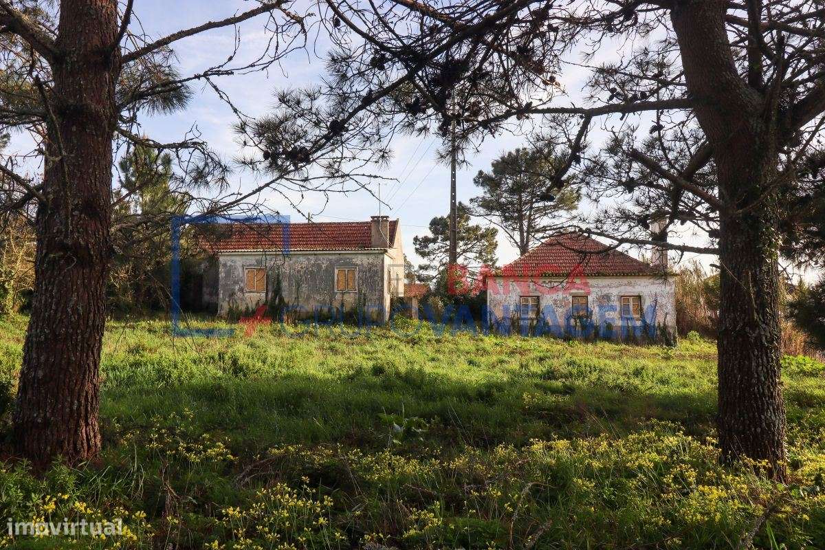 Quintinha com 2 moradias (T2 e T3) no Sobreiro, Mafra - Grande imagem: 4/25