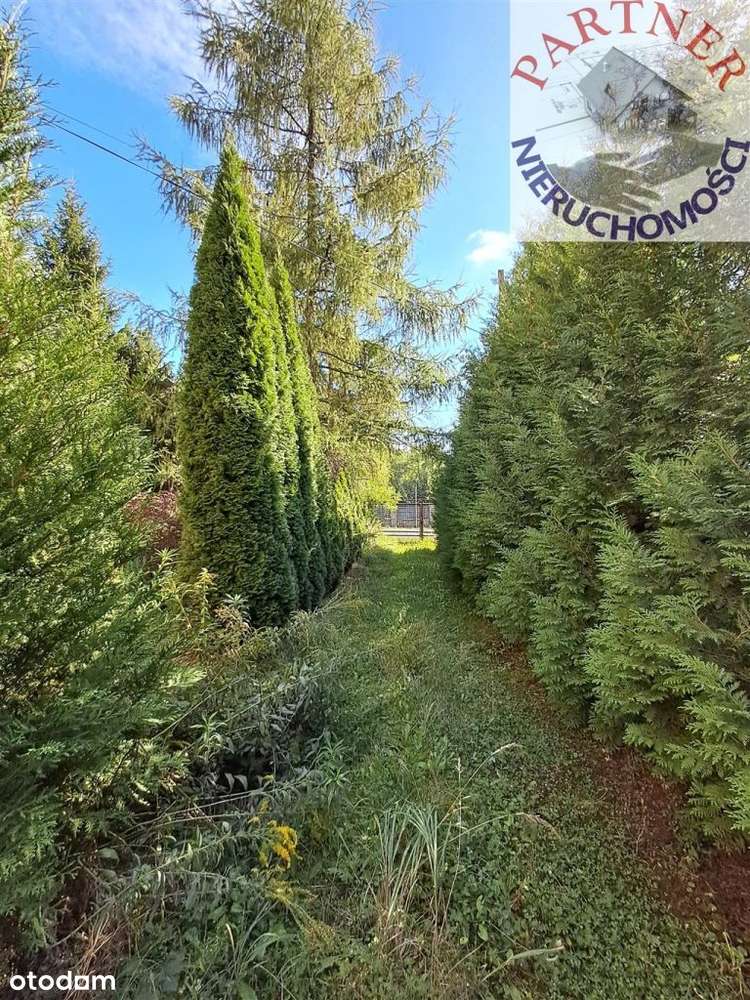 Budynek na sprzedaż w Trzebini-16