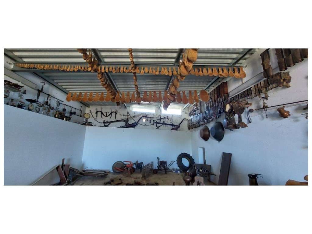 HERDADE 92 ha l Colos-32