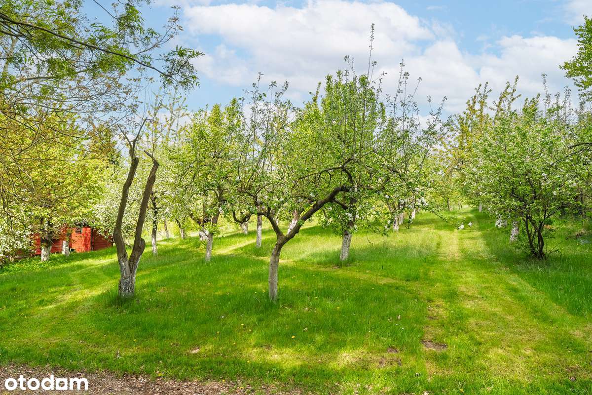 Dom nad jeziorem  K/Szczecina – Twój dom, Twój business, Twoja wizja - Pełny obrazek: 4/20
