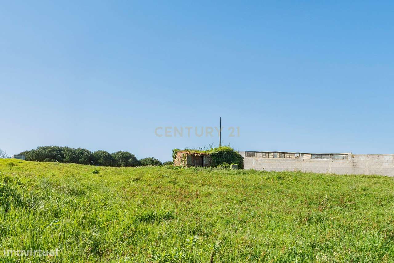 Ruína com Terreno Urbanizável em Vestiaria - Alcobaça-11