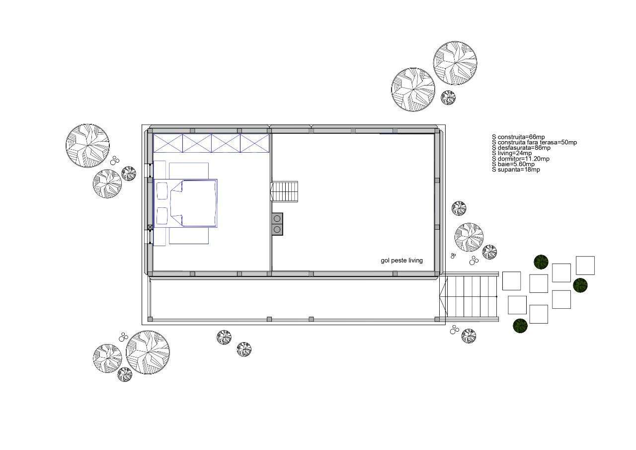 Cabana de vis in Nucsoara - Arges - 65.000 Euro+TVA-10