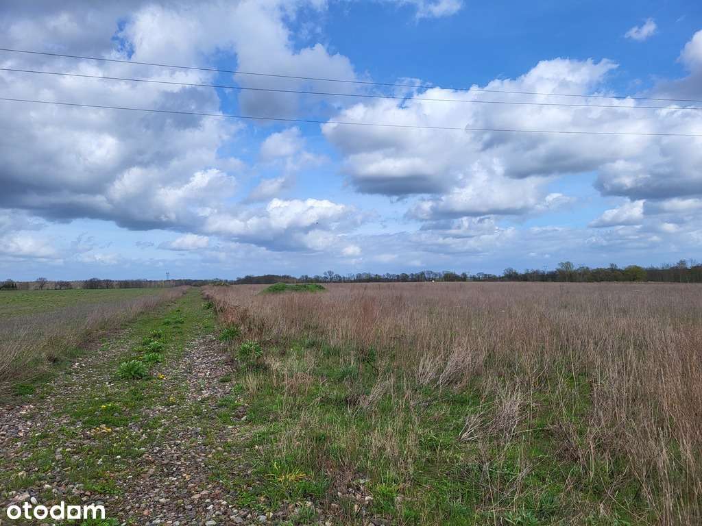 Działki w Lubowie - Pełny obrazek: 4/5