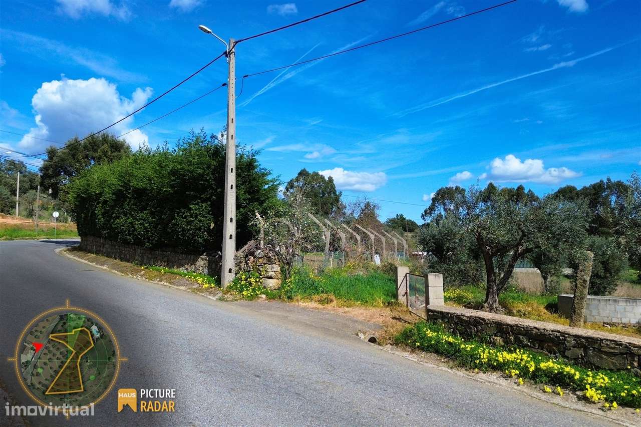 Terreno 2.680m² | Poço e Olival | Palvarinho, Castelo Branco - Grande imagem: 5/20