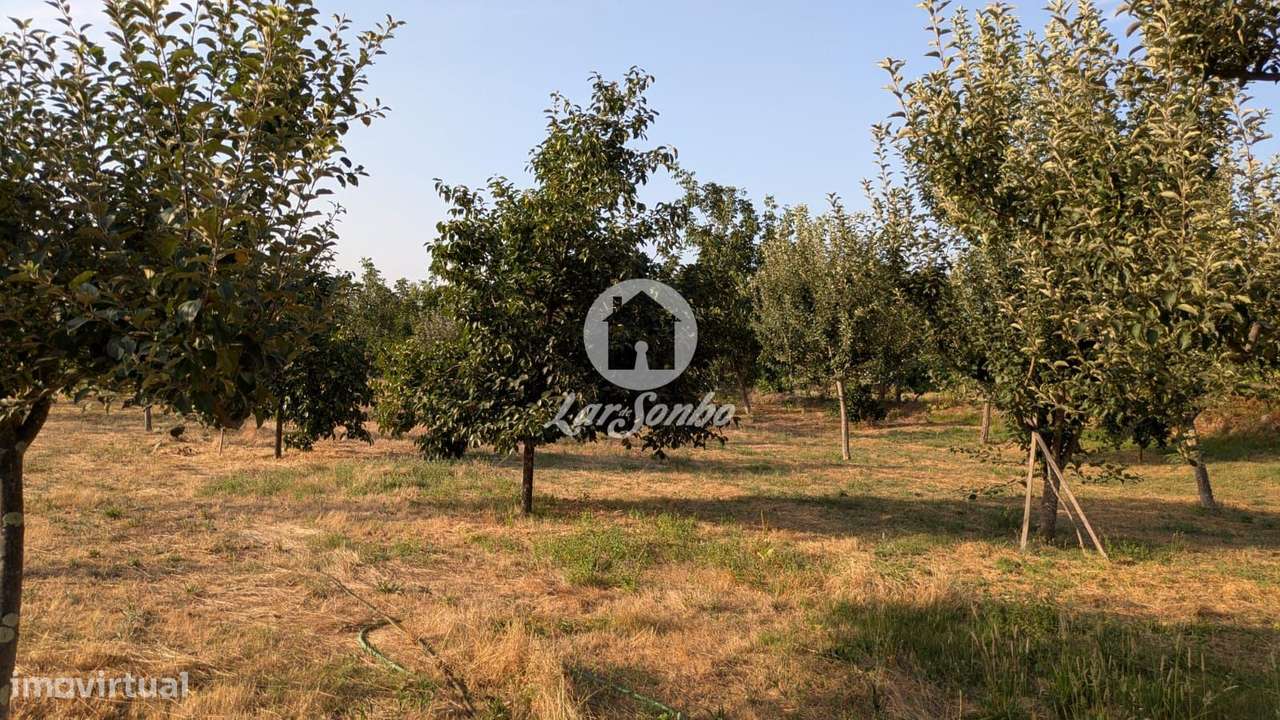 Terreno plano com 4.210m2 junto à cidade de Fafe - Grande imagem: 2/8