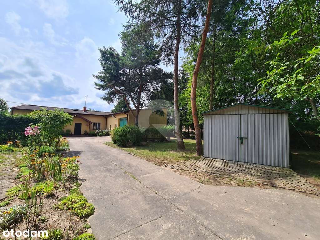 Grzmiąca gmina Żabia Wola dom  na działce  13800m2 - Pełny obrazek: 4/20