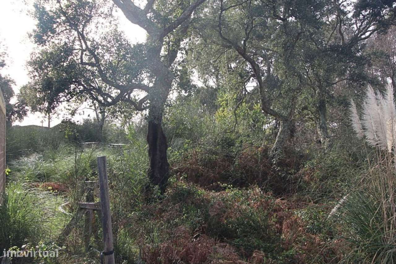 Lote com 825m2 para construção-5