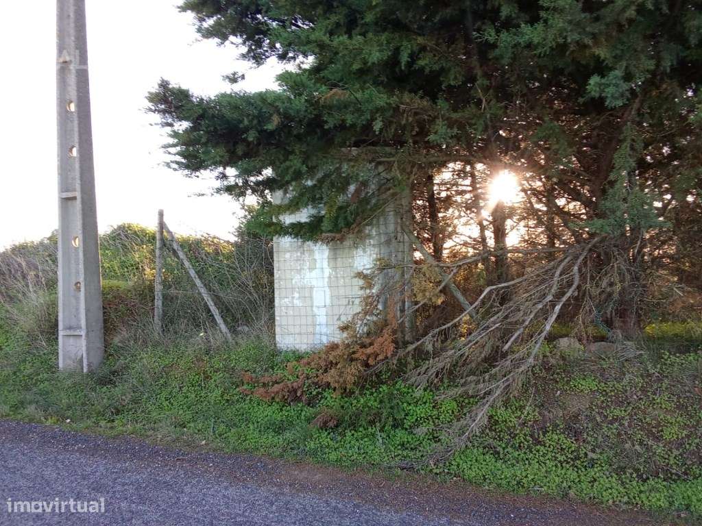 Terreno rústico em Vale Serrão, Pereiro de Palhacana, Alenquer - Grande imagem: 5/31