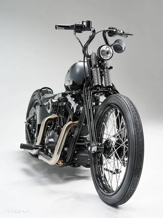 Harley-Davidson Softail - 1