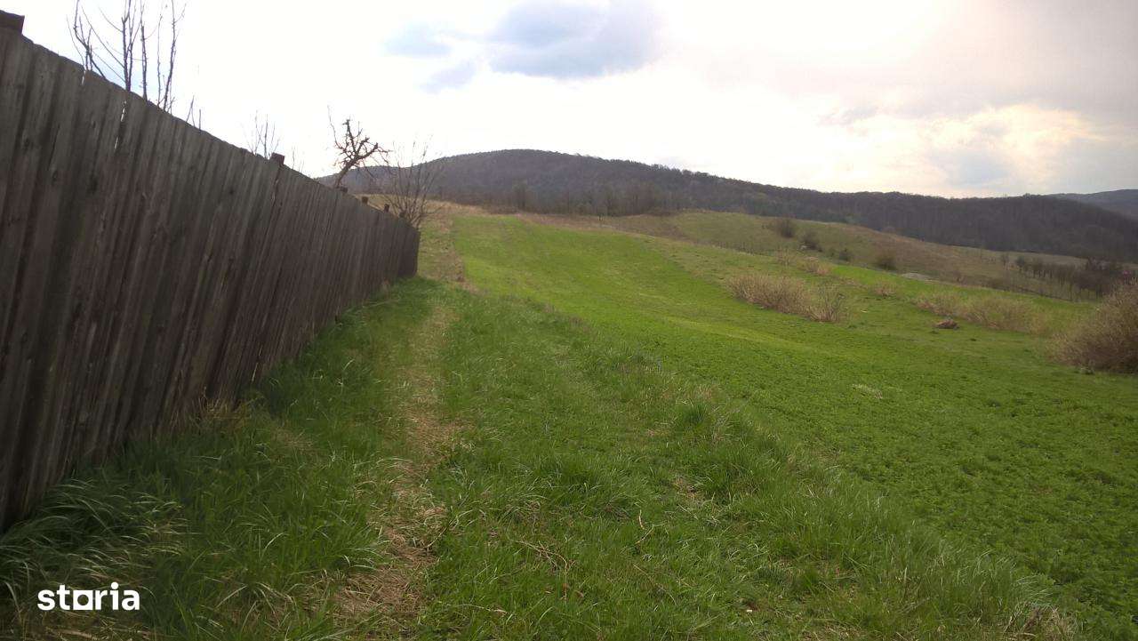 Vanzare teren Luncani, Bacau-10