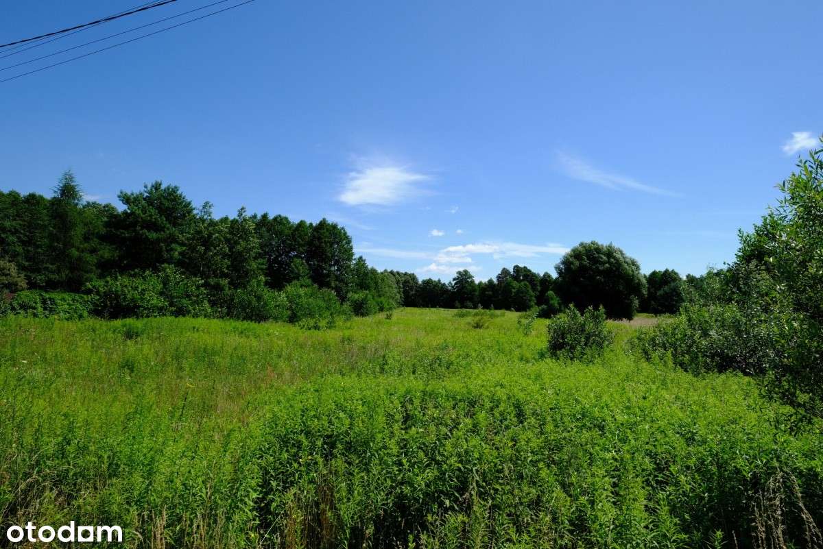 Dom Tuż przy Granicy Kampinosu (kpn)? Tak!-6