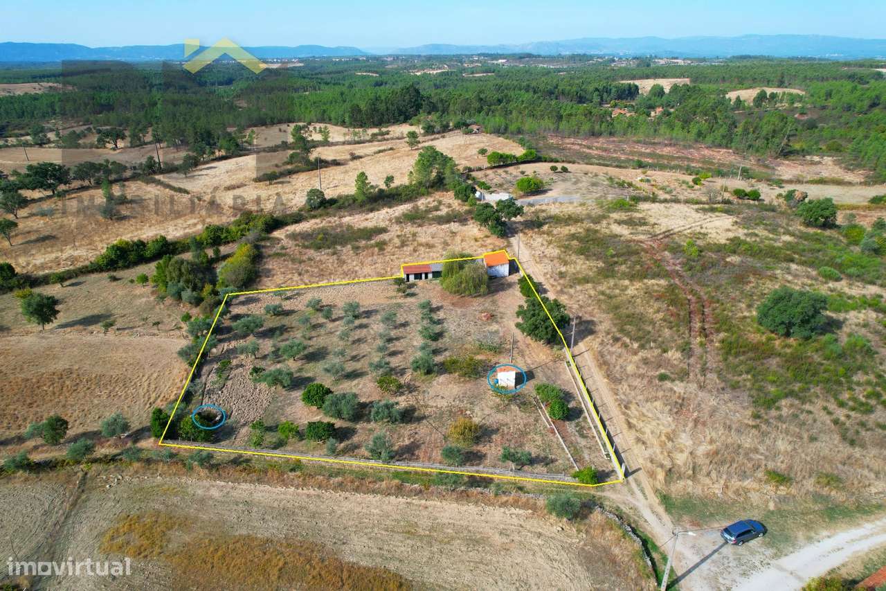 Quintinha  Venda em Cebolais de Cima e Retaxo,Castelo Branco-22