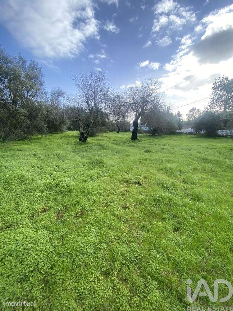 Terreno Agrícola em São Brás de Alportel - Grande imagem: 2/19