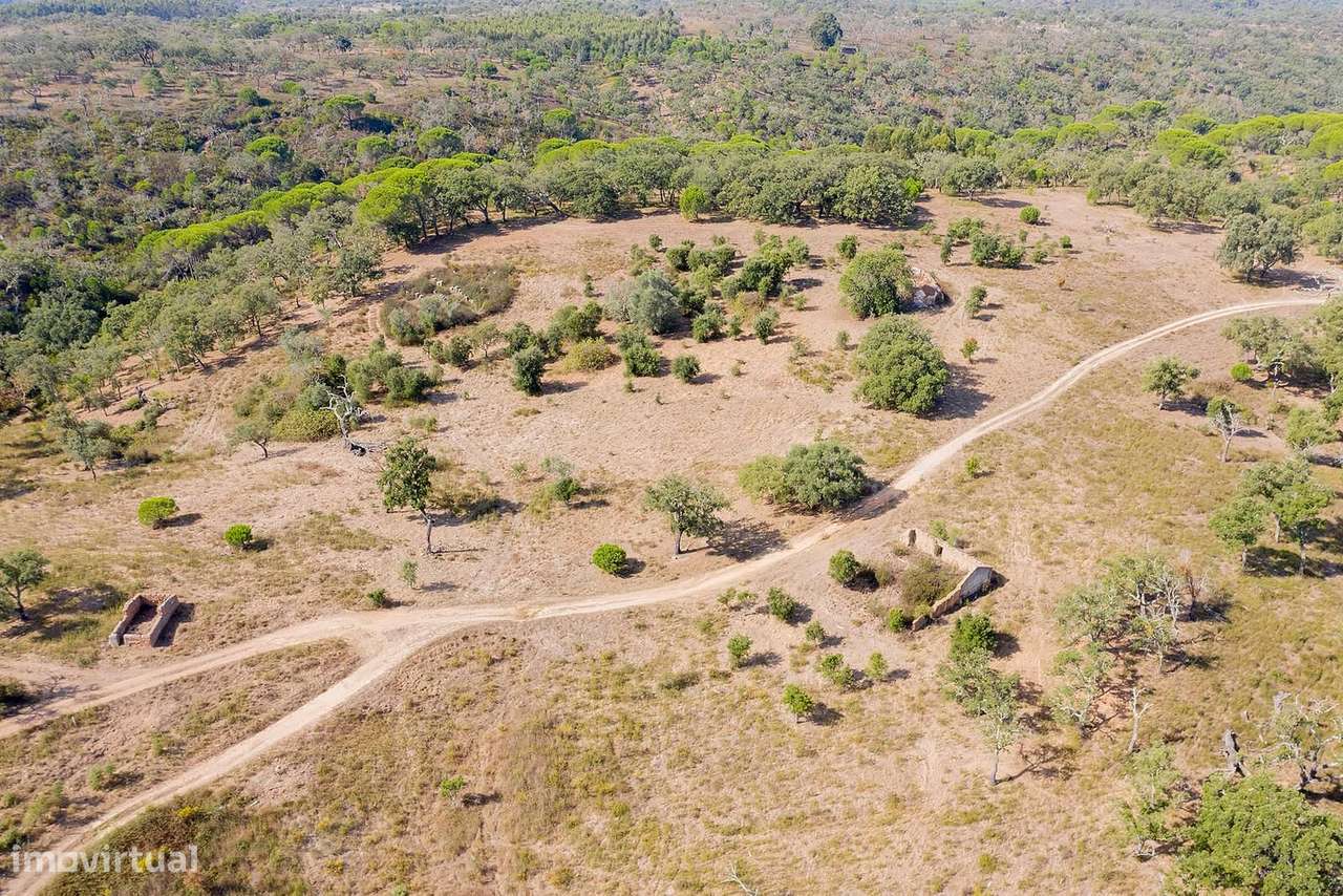 Terreno Misto 56.1 ha, Santiago do Cacem - Grande imagem: 3/23