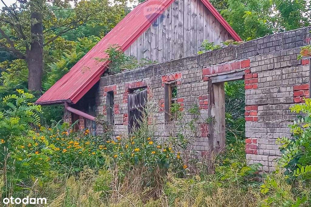 Ponad 3 ha działek z Mpzp Grabostów, asfalt, media - Pełny obrazek: 3/7