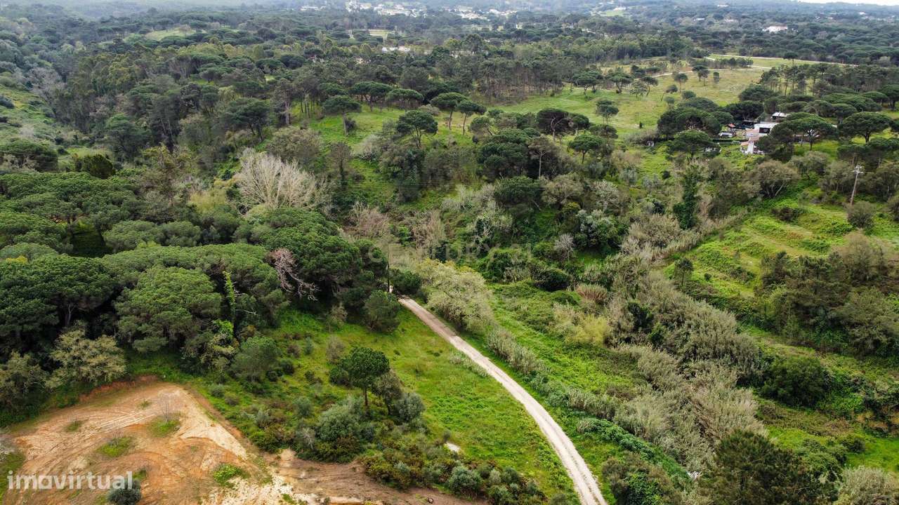 Fantástico Terreno de 6000 m2 para investimento - Grande imagem: 4/14