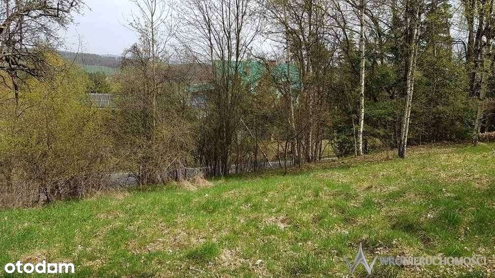Działka | atrakcyjna | las | piękne widoki - Pełny obrazek: 3/12