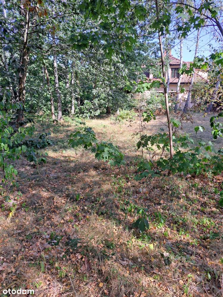 Działka budowlana 1500 m² z dostępem asfaltowym - Pełny obrazek: 5/6