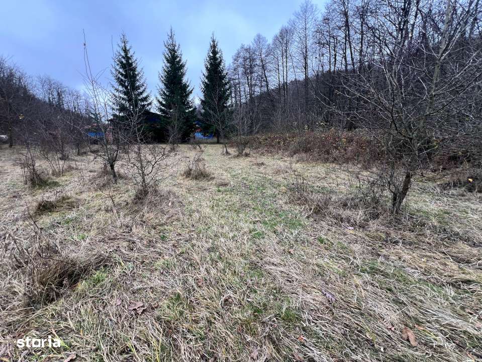 Teren intravilan 6.500 m²–Deschidere 144 ml drum european E81, km 3-0