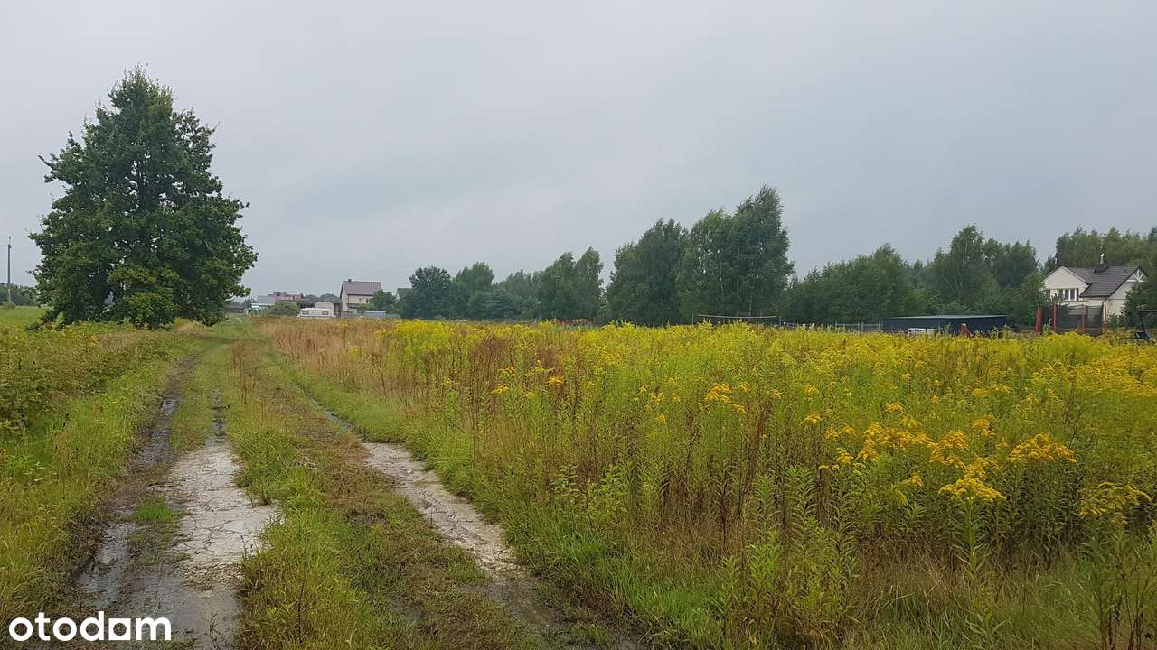 Działka, 1298.0 m², Uwieliny - Pełny obrazek: 5/5