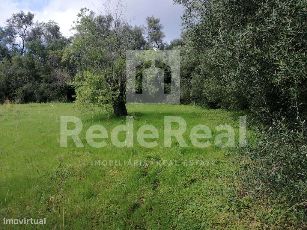 Terreno Urbano no Centro de Salir - 1.490 m² com Viabilidade de Con... - Grande imagem: 4/25