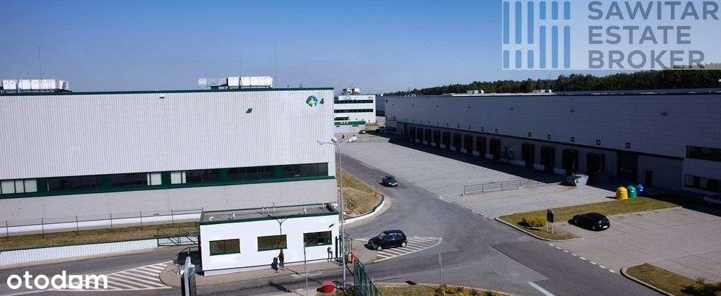 Magazyn klasy A Chorzów, bez prowizji - Pełny obrazek: 2/4