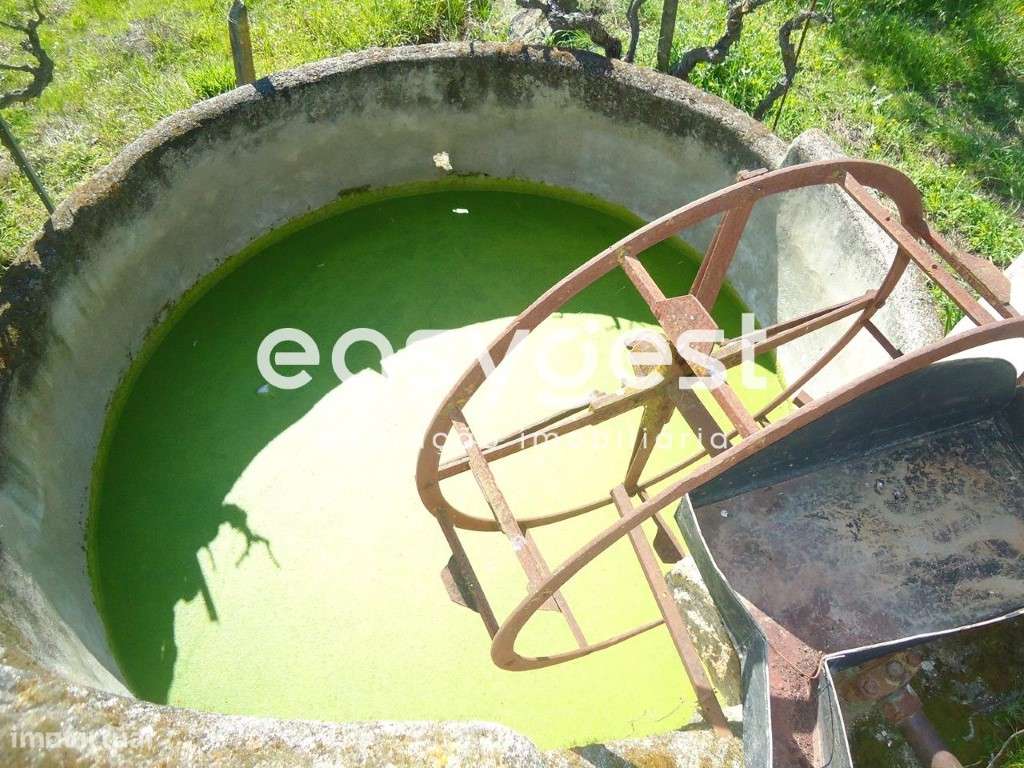 Terreno Rústico à Venda em Orca com Vistas para a Serra da Gardunha - Grande imagem: 4/49