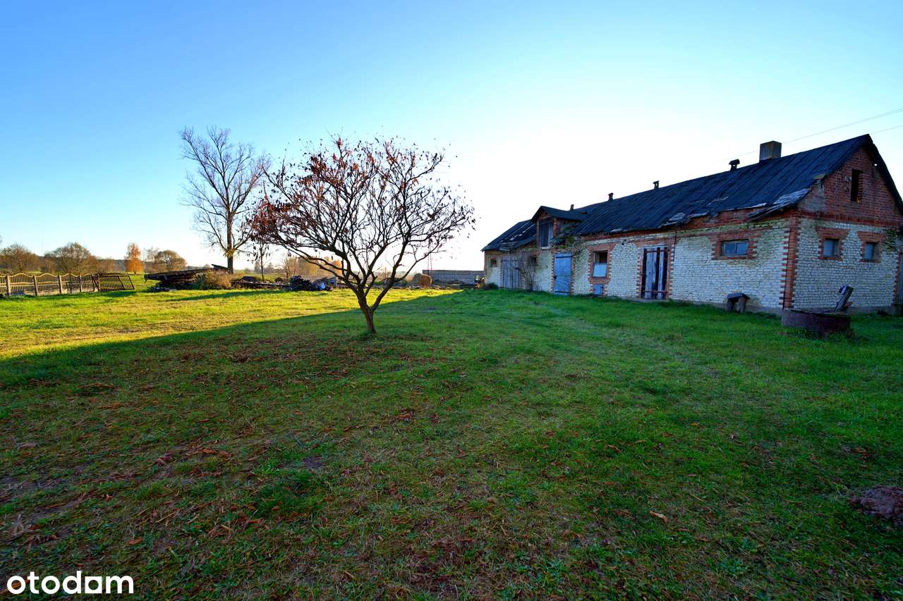 Dom z potencjałem na dużej działce–Nowy Pudłów, blisko Poddębic-8