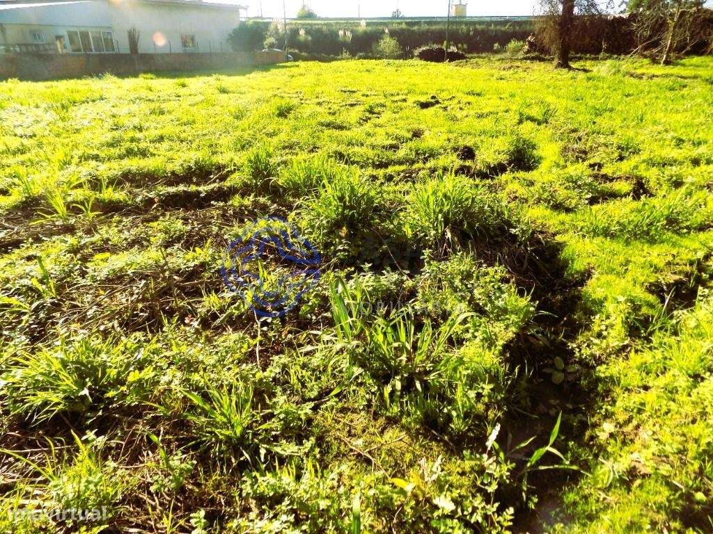 Terreno-Área 1738 M2, Com Excelentes Acessos-A1-Lisboa-Porto; A41 CREP - Grande imagem: 5/12