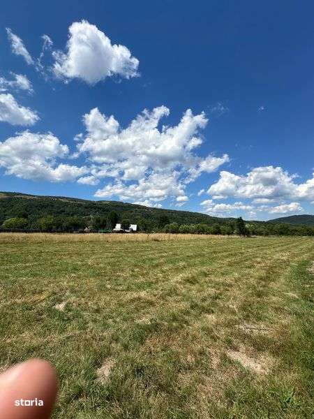 Teren de Vanzare - Imagine principală: 5/6