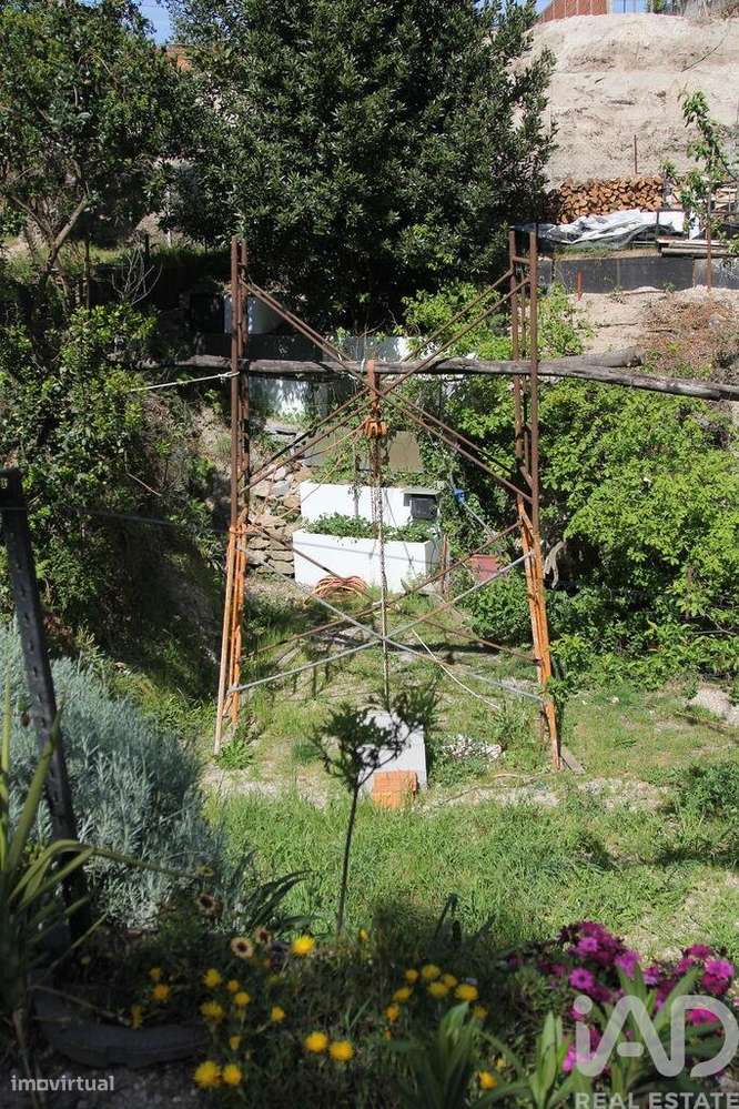 Terreno Agrícola em Oliveira do Hospital e São Paio de Gramaços-24