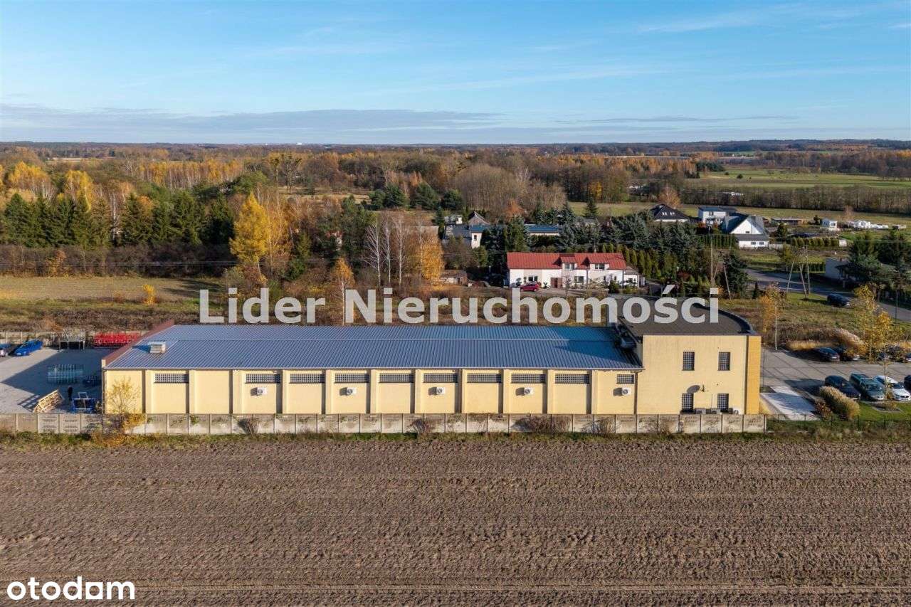 Lokal użytkowy, 1 815,62 m², Jadwinin-5