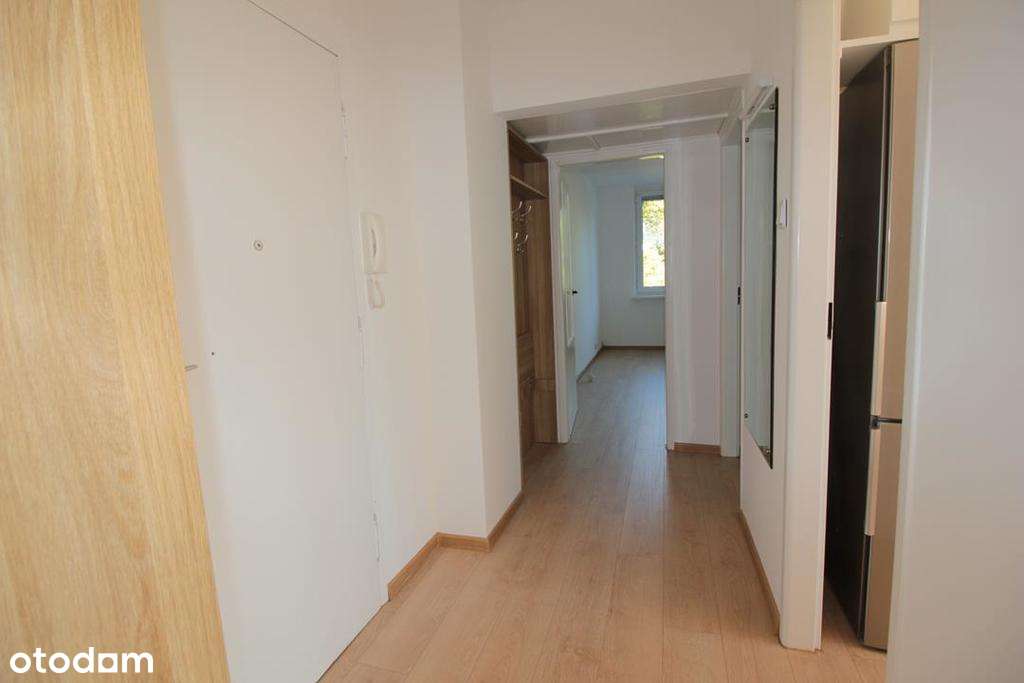 3 osobne pokoje. Szczecin Centrum koło Pleciugi. - Pełny obrazek: 5/14